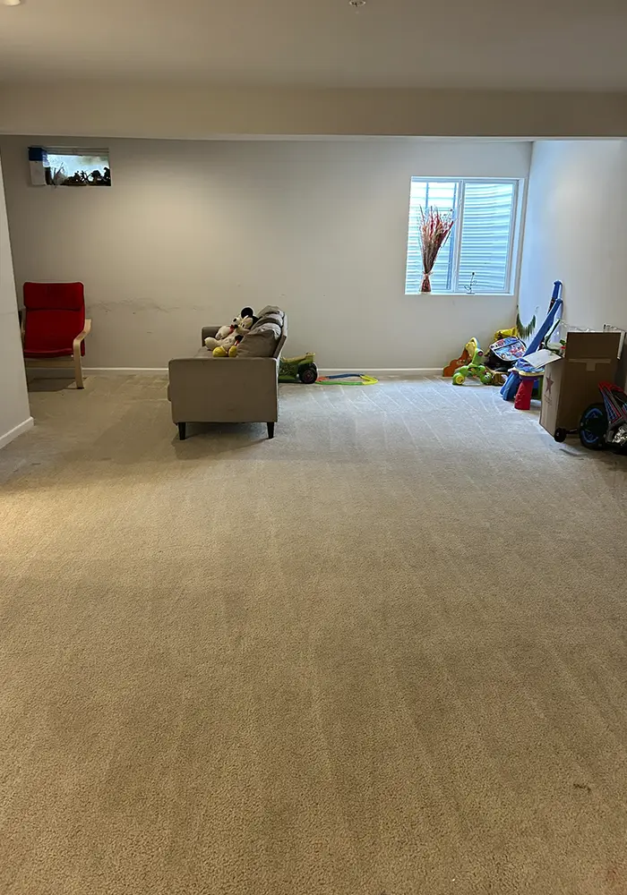 after-social-proof-270525